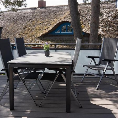 Haus Am Duenenwald Duene 4 Apartment Zingst Ngoại thất bức ảnh